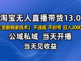 淘宝无人直播13.0,公域私域技术,不封号,不违规 布局下半年旺季赛道,日入2000+