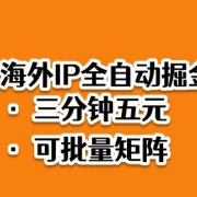 海外ip全自动掘金,2025必做蓝海项目,3分钟落地,矩阵直接开干【揭秘】