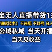 淘宝无人直播13.0,公域私域技术,不封号,不违规 布局下半年旺季赛道,日入2000+