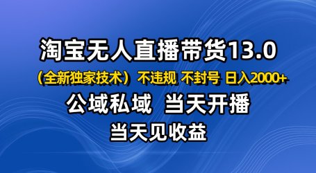淘宝无人直播13.0，公域私域技术，不封号，不违规 布局下半年旺季赛道，日入2000+
