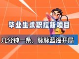 毕业生求职项目拆解_脉脉拉新空白市场，蓝海开局