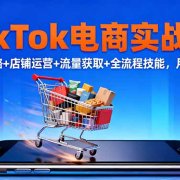 TikTok电商实战课10月，选品策略+店铺运营+流量获取+全流程技能，月入5万+
