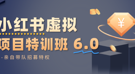 小红书虚拟项目特训班6.0 ,养号/选品/自动发货/爆款笔记(含40节视频课)
