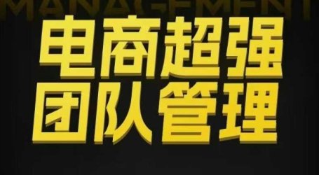电商超强团队管理,组织绩效,到用人执行,分权合伙