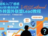 国外联盟賺美刀项目,从0到1教你玩转国外联盟Lead教程,纯新手可操作性100%