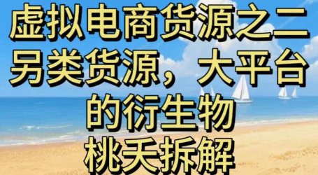 虚拟电商之二—另类的货源,大平台的衍生物