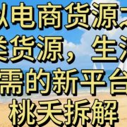虚拟电商之三另类的货源,生活刚需的新平台
