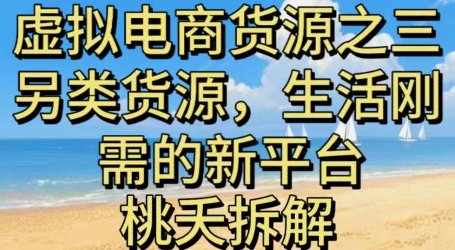 虚拟电商之三另类的货源,生活刚需的新平台