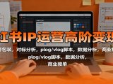 小红书IP运营高阶变现课：账号包装，对标分析，plog/vlog脚本，数据分析，商业接单