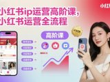 小红书ip运营高阶课,小红书运营全流程