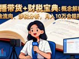 直播带货+财税宝典：概念解析、资金流向、涉税分析，月入10万合规指南