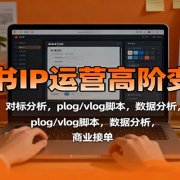 小红书IP运营高阶变现课：账号包装，对标分析，plog/vlog脚本，数据分析，商业接单