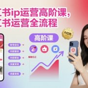 小红书ip运营高阶课,小红书运营全流程