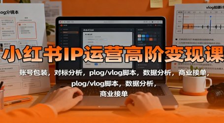 小红书IP运营高阶变现课：账号包装，对标分析，plog/vlog脚本，数据分析，商业接单