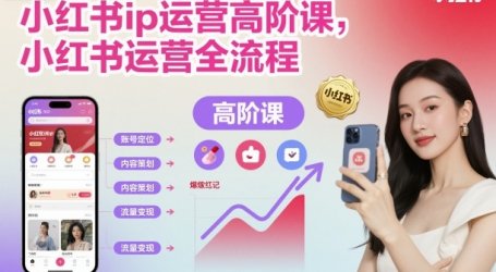 小红书ip运营高阶课,小红书运营全流程
