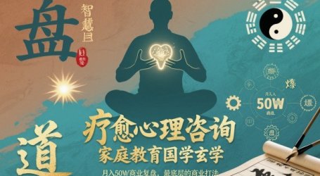 疗愈心理咨询,家庭教育国学玄学,月入50个商业复盘,最底层的商业打法