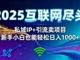 2025网创尽头王炸项目！私域IP+精准引流，新手小白在家躺賺日入1k，零经验也能上手【揭秘】