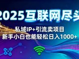 2025网创尽头王炸项目!私域 IP + 精准引流,新手小白在家躺赚日入 1000+