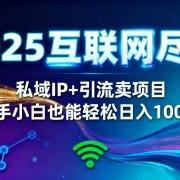 2025网创尽头王炸项目!私域 IP + 精准引流,新手小白在家躺赚日入 1000+