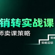 卖课销转实战课:卖课营销模型、销转公式、千万名师亿级卖课术
