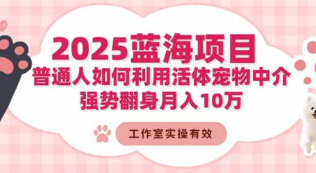 2025蓝海项目:普通人如何利用活体宠物中介,强势翻身月入10万