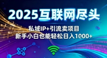 2025网创尽头王炸项目!私域IP+精准引流,新手小白在家躺賺日入1k,零经验也能上手【揭秘】