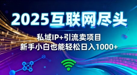 2025网创尽头王炸项目!私域 IP + 精准引流,新手小白在家躺赚日入 1000+