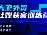 大卫老师·外贸社媒获客独家训练营(更新)