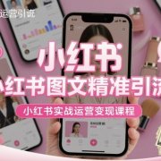 小红书图文精准引流,小红书实战运营变现课程