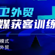 大卫老师·外贸社媒获客独家训练营(更新)