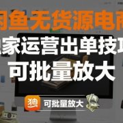 闲鱼无货源电商,独家运营出单技巧,可批量放大