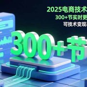 2025电商技术宝典11月:200+节实时更新实操案例,可技术变现亦可自用放大
