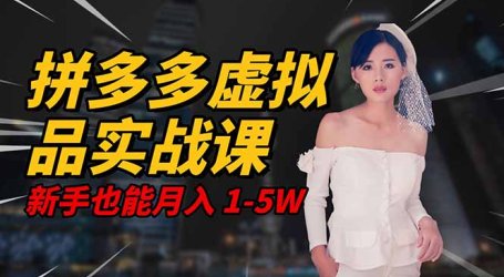 2025 拼多多虚拟品系统实战课，轻资产项目，可矩阵开工作室，新手也能…