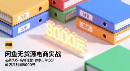 闲鱼无货源电商实战，选品技巧+店铺运营+独家出单方法，单店月利润8000元