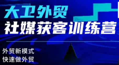 大卫老师·外贸社媒获客独家训练营(更新)