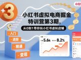 小红书虚拟电商掘金特训营第3期,从0到1带你玩小红书虚拟店铺