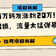 单条视频百万转发涨粉20W,AI猪猪侠唱歌C位出道,流量太猛弹幕爆炸刷屏