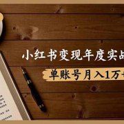 小红书变现年度实战指南:7大变现方式/爆款标题/视频写作,单账号月入1万+