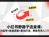 小红书野路子流量课:暴力起号+批量获客+聚光打法,单账号月入3万+