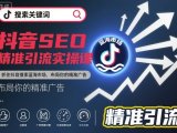 抖音SEO精准引流实操课，抓住抖音搜索蓝海市场，布局你的精准广告