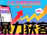 小红书爆款培训班，小红书获客野路子流量打法，暴力持续获客