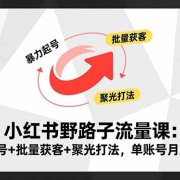 小红书野路子流量课:暴力起号+批量获客+聚光打法,单账号月入3万+