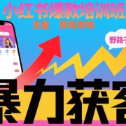 小红书爆款培训班，小红书获客野路子流量打法，暴力持续获客