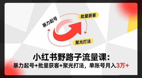 小红书野路子流量课：暴力起号+批量获客+聚光打法，单账号月入3万+