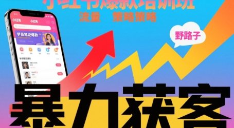 小红书爆款培训班，小红书获客野路子流量打法，暴力持续获客