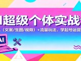 AI超级个体实战课:AI 工具(文案/生图/视频)+ 流量玩法,学起号运营与变现