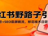 小红书野路子引流，暴力起号+SEO霸屏截流，移花接木日获客100+