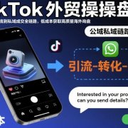TikTok外贸操盘手,打通公域引流到私域成交全链路,低成本获取高质量海外询盘