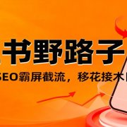 小红书野路子引流，暴力起号+SEO霸屏截流，移花接木日获客100+