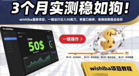 3个月实测稳如狗!wishlba最新项目,一键运行日入50美刀,单窗口躺挣,保姆级教程全给你【揭秘】
